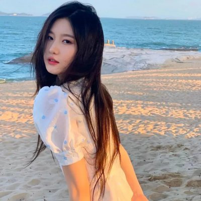 鱼影之群
