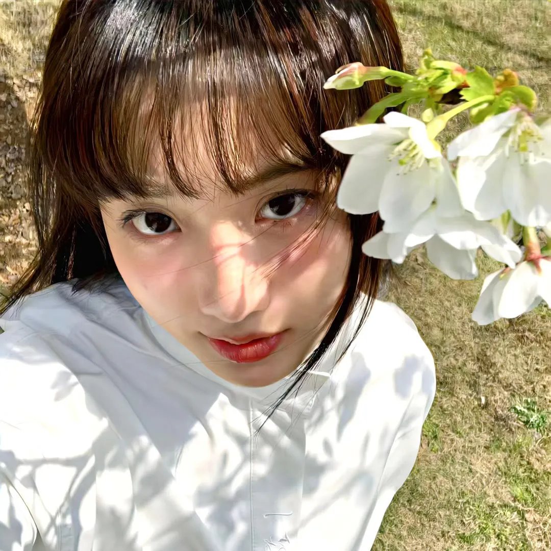 蓬莱龙棺之徐福宝藏